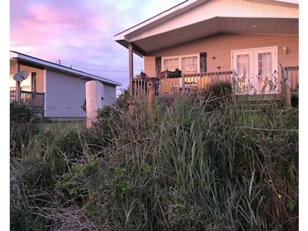 Whispering Waves Cottages