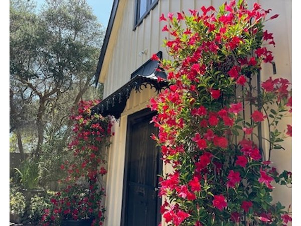 Silverleaf Cottage