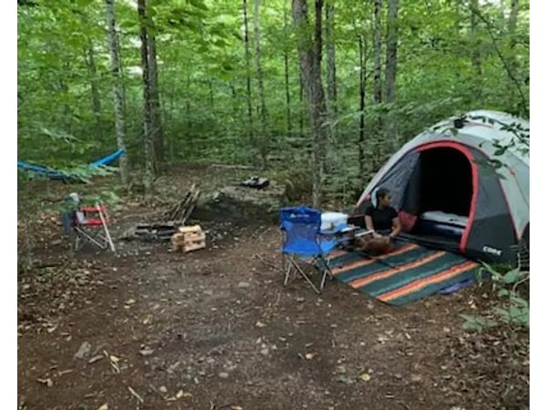Turey Forest Camping Near Bethel Woods - 15 minutes to Bethel Woods Casino