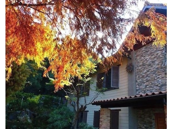 Chill hill cottage
