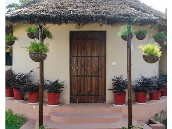 Forest Mud Villas
