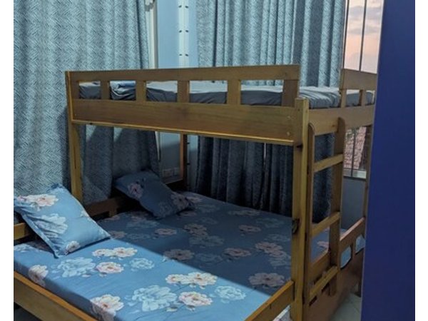 Kilimanjaro forest lodge & camping site