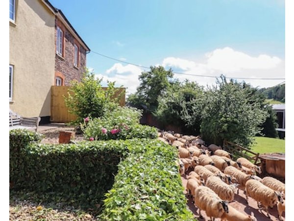 3 Bedroom Cottage In Tiverton - 45091