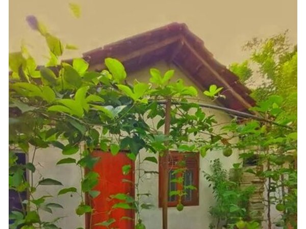 Passion Fruit Villa Weligama