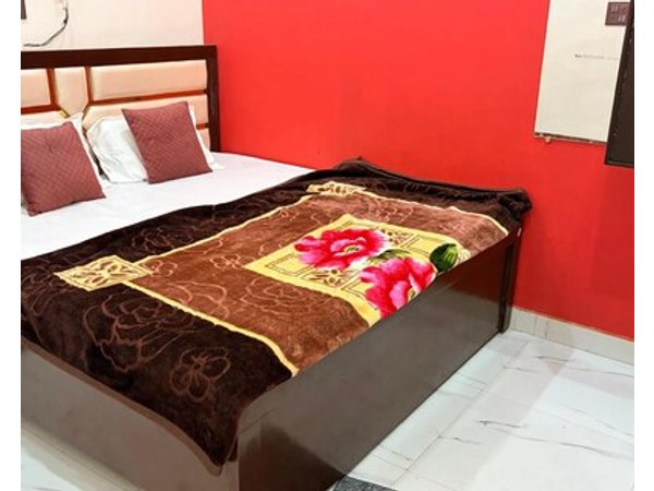 The Saroj Palace