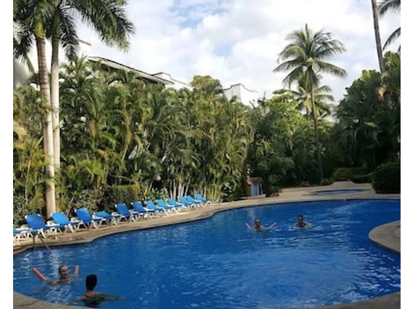 Tropical Oasis Pool and Beach in Marbella