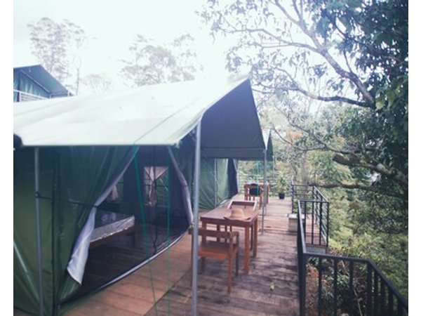 Radiance Ella Urban Camping