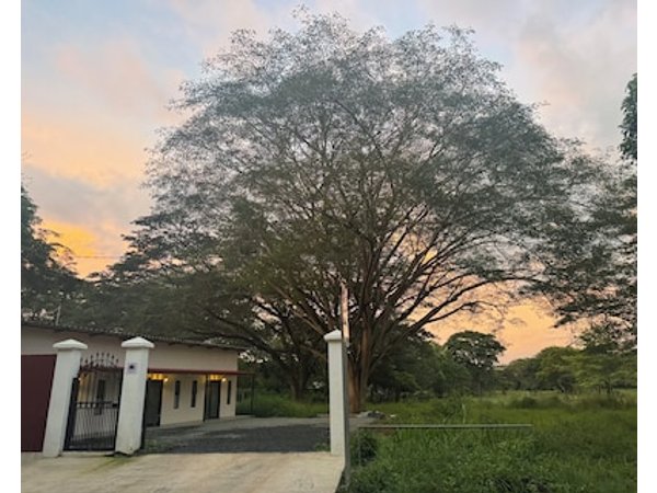 Cameva Villas Your perfect escape