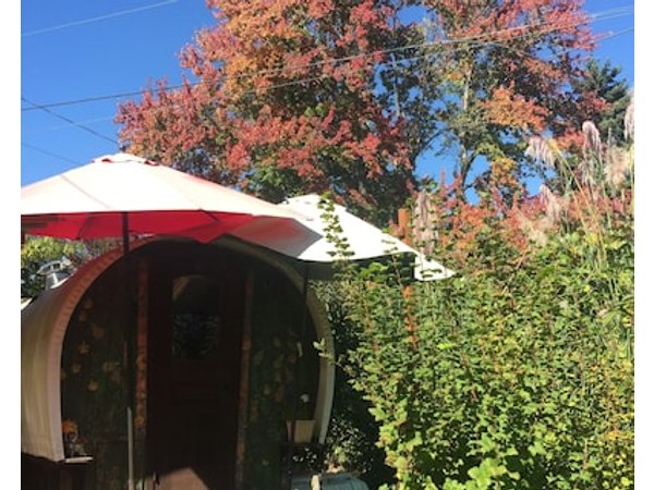 ShiShi's Cottage an oasis of peace and beauty