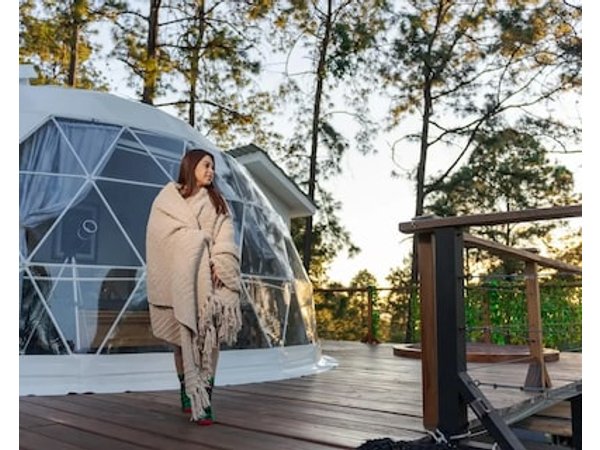 Tiny Pines Cabin Glamping