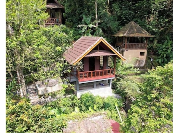 Bali Jungle Resort