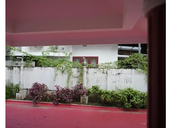 Tree Fort Homestay