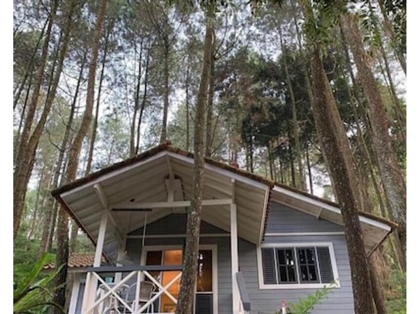 The Pine Forest Villas