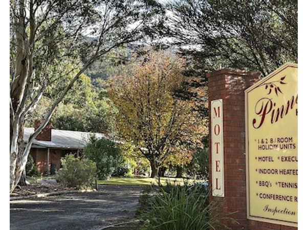 Pinnacle Holiday Lodge