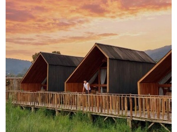Dynasty Glamping Bedugul