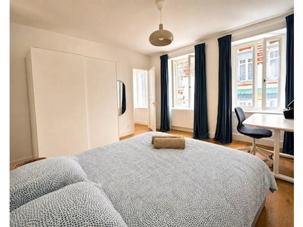 Renovated apartment in the heart of Strasbourg