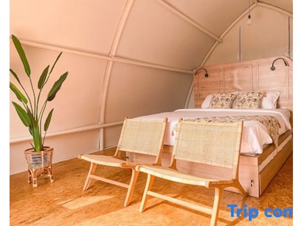 Selayang Olivehill - Kemewahan Glamping di Hutan