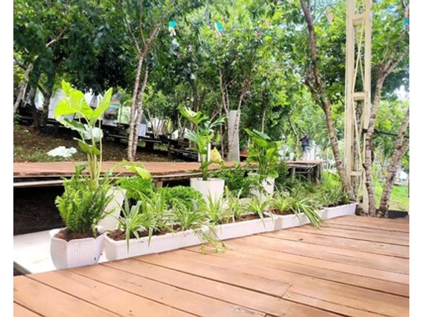 Trạm Mây Glamping