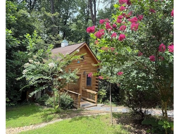 Tiny Log Cabin Tlc!