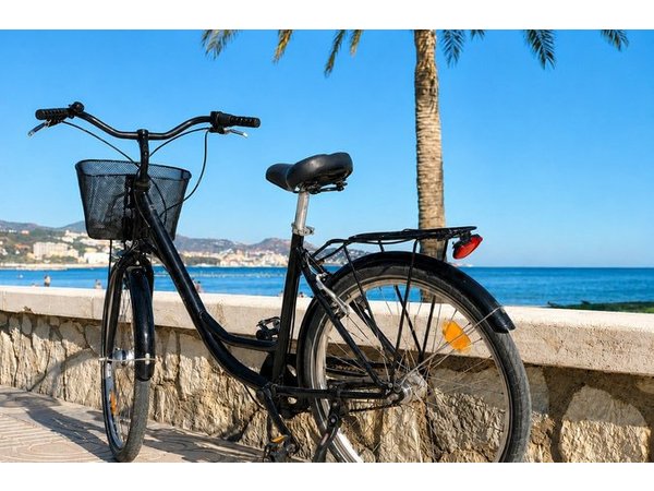 Full-Day City Bike Rental in Malaga