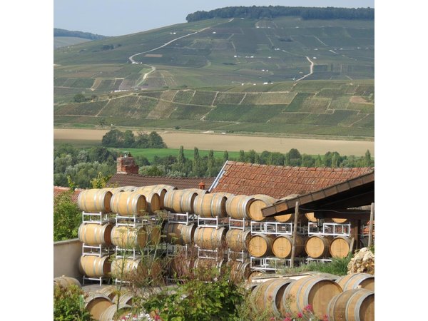 Private wine tour to Champagne region from Paris