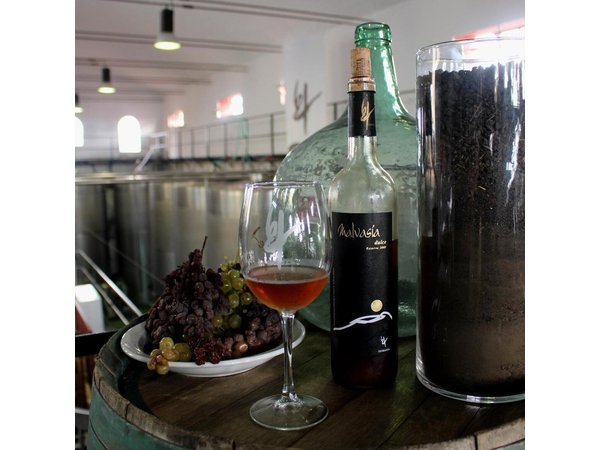 Visit Bodegas Teneguía winery in La Palma with wine Tasting