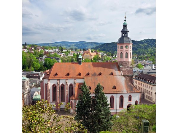 Germany Baden-Baden & Black Forest Private Day Trip from Strasbourg