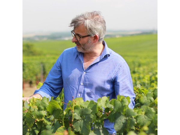 Champagne VIP Day Trip from Paris With Local PRIVATE Wine Expert Guide