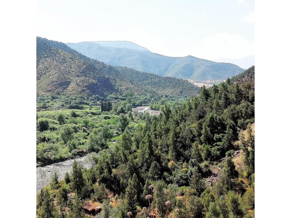 Private Day Tour to Ourika Valley including Guided Hike and Lunch from Marrakech
