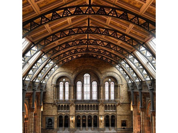 Natural History Museum London - Exclusive Guided Museum Tour