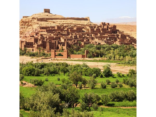 Ouarzazate Day Tour including Lunch from Marrakech