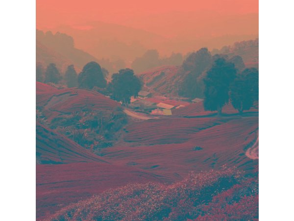 Cameron Highlands, Garden of Nature Full Day Private Guided Tour