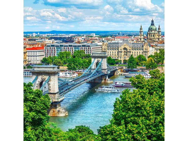 Budapest Private Tour from Vienna