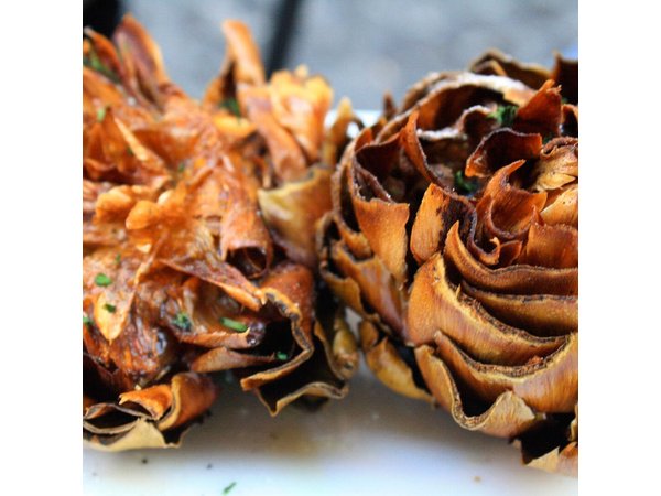 Rome Food Experience Max 6 People Group Tour | w/Private Option