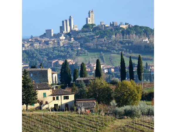 Private Tuscany Day Tour: San Gimignano and Chianti Wine Region from Florence