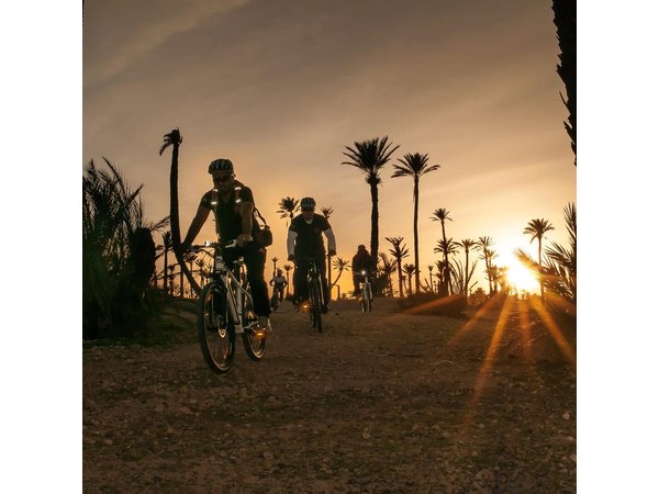 The Palmery Off-Road Bike Tour from Marrakech