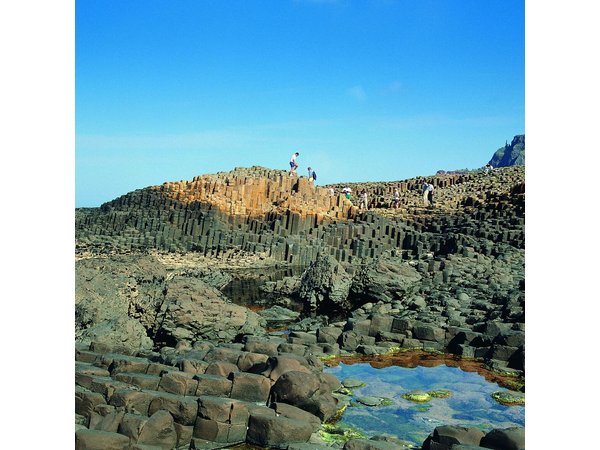 Giant's Causeway , Belfast Murals & Game of Thrones Dark Hedges