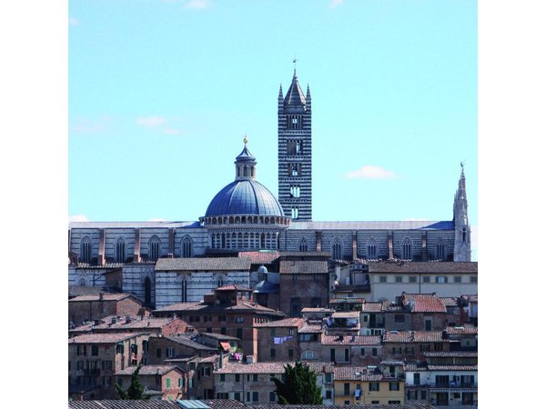 Siena Cathedral: Private Tour