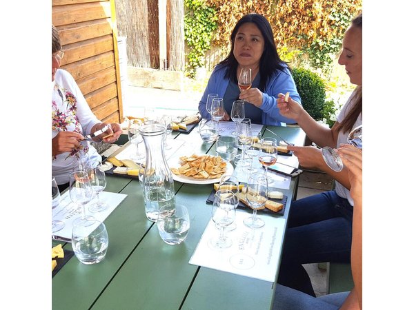 English Wine and Cheese Tour from London