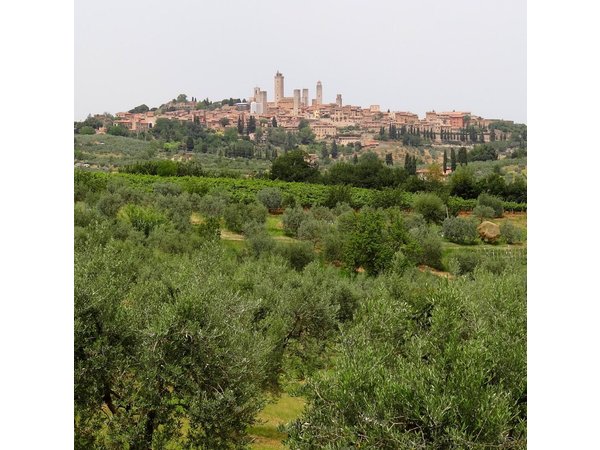 Private Tour to Siena and San Gimignano with Wine Tasting & Lunch
