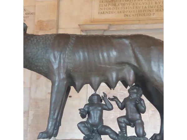 Skip-the-line Capitoline Museums Wolf & Hill Guided Tour in Rome