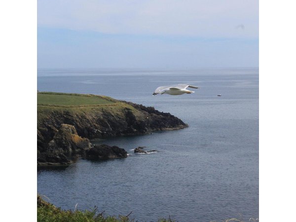 Full day Private Tour from Waterford