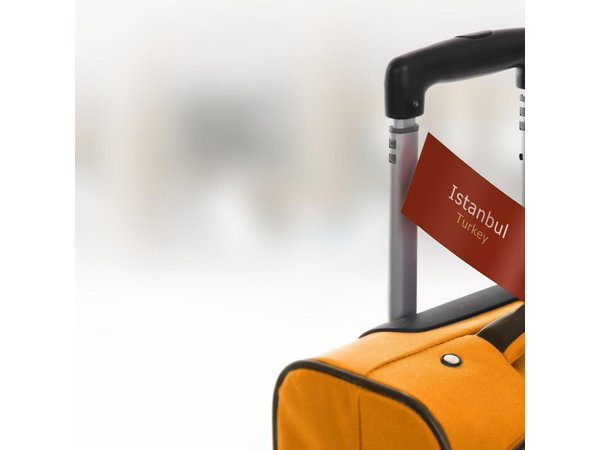 1-Day Private Istanbul Layover Tour