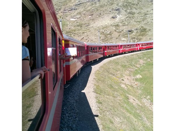 Private tour to Bernina train & Lake Como. Hotel pick-up