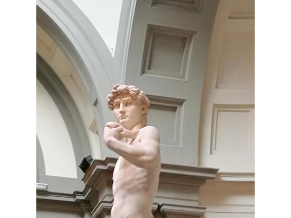 Florence: 1-hour Accademia Gallery guided experience with entrance tickets