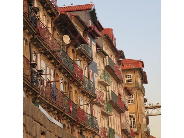 Private Porto Half Day Tour: Port Wine Cellars and Cheese Tasting