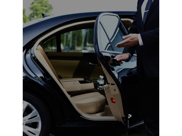 Chauffeured Private Tour of Rome