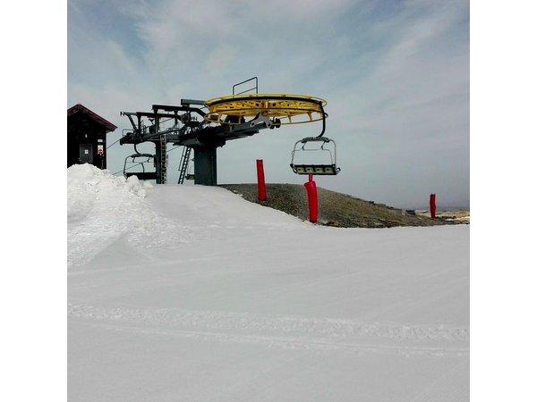 Estrela Mountain, full-day from Coimbra