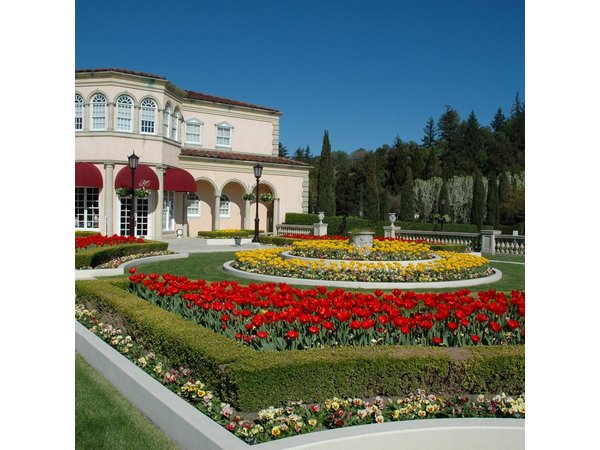 From SF:Sonoma & Napa -8hr Private Wine Tour with Concierge.XLSUV
