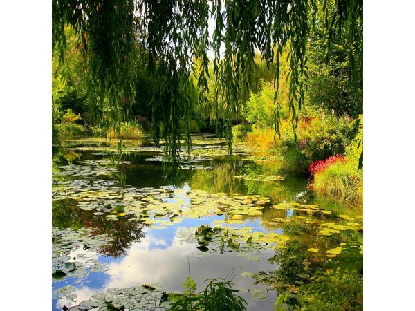 Giverny & Monet's House Audio Guided Half-day Tour from Paris